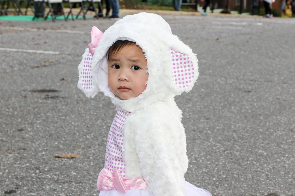 Valdese Library Fall Festival 2019-9329.JPG